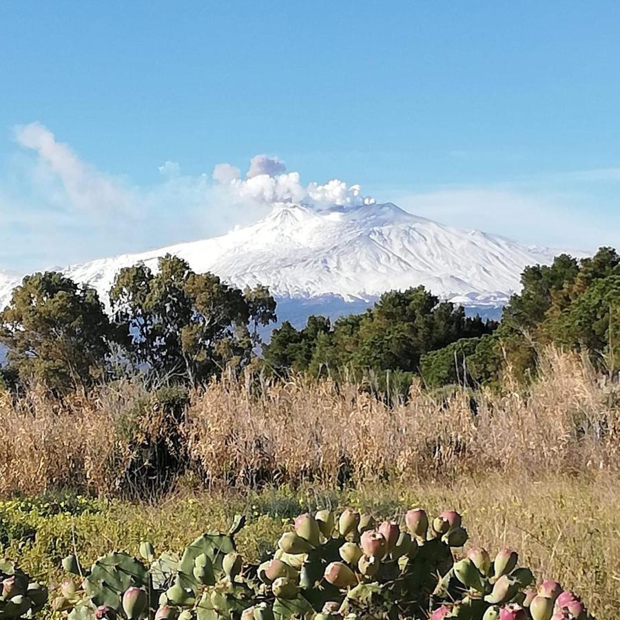 Casa Donna Rosaria Tra Etna E Taormina Apartamento Riposto Exterior foto